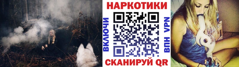 Магазины продажи наркотиков Володарск Конопля  Кокаин  Героин  Меф 