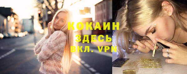 спайс Дмитриев